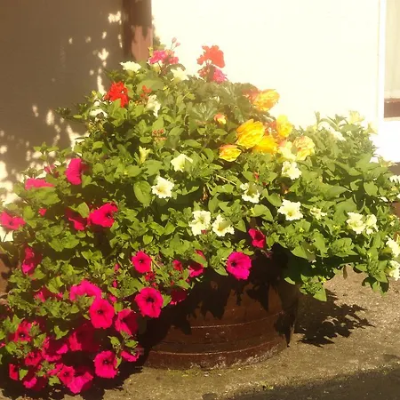 Orley House Vakantiehuis Drogheda