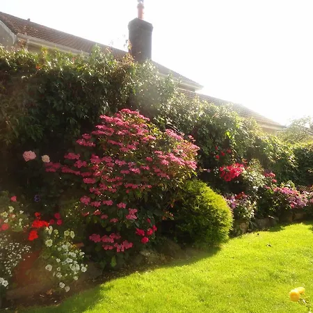 Orley House Дроэда