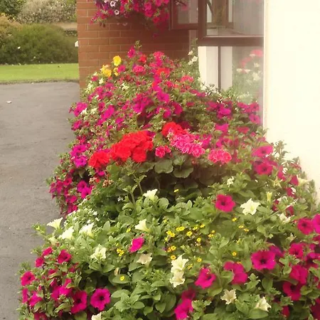 Vakantiehuis Orley House *