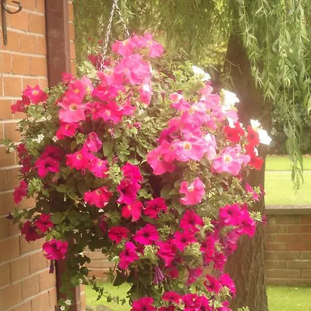 Orley House Σπίτι διακοπών