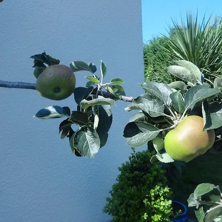 Orley House Σπίτι διακοπών