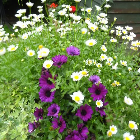 Σπίτι διακοπών Orley House