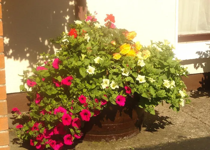 Orley House Hébergement de vacances Drogheda