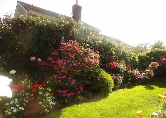 Orley House דרוגדה