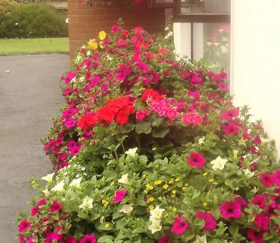 Hébergement de vacances Orley House *