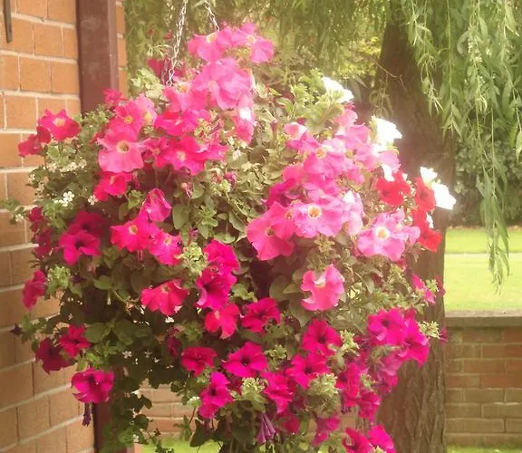 Orley House בית נופש