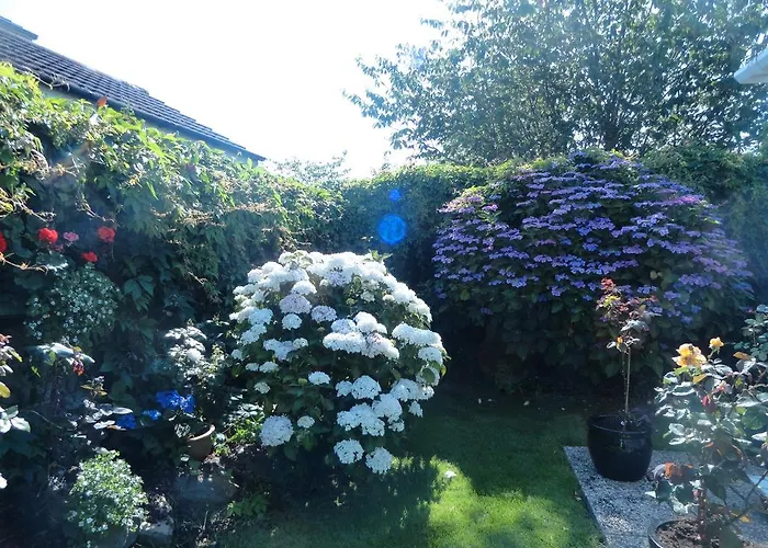 בית נופש Orley House דרוגדה