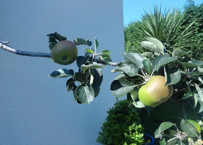 Orley House Hébergement de vacances